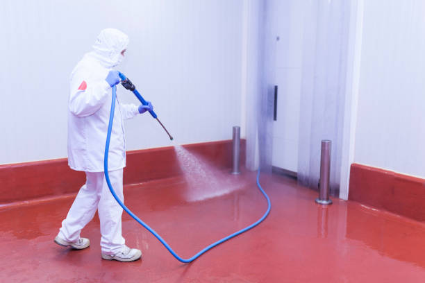 Best Oil Spill Cleanup  in Bellevue, MI