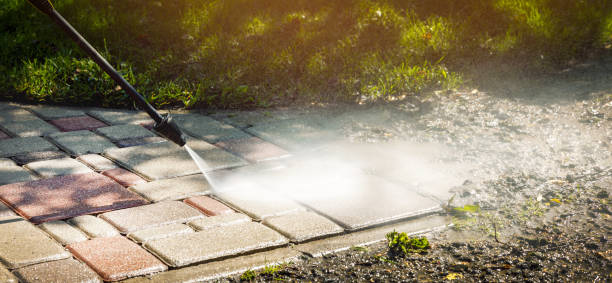 Best Sidewalk and Walkway Cleaning  in Bellevue, MI