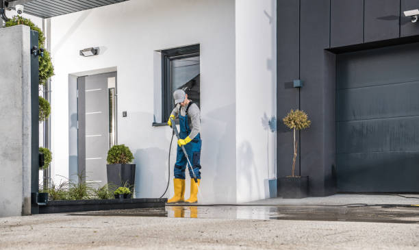 Best Dumpster Area Cleaning  in Bellevue, MI